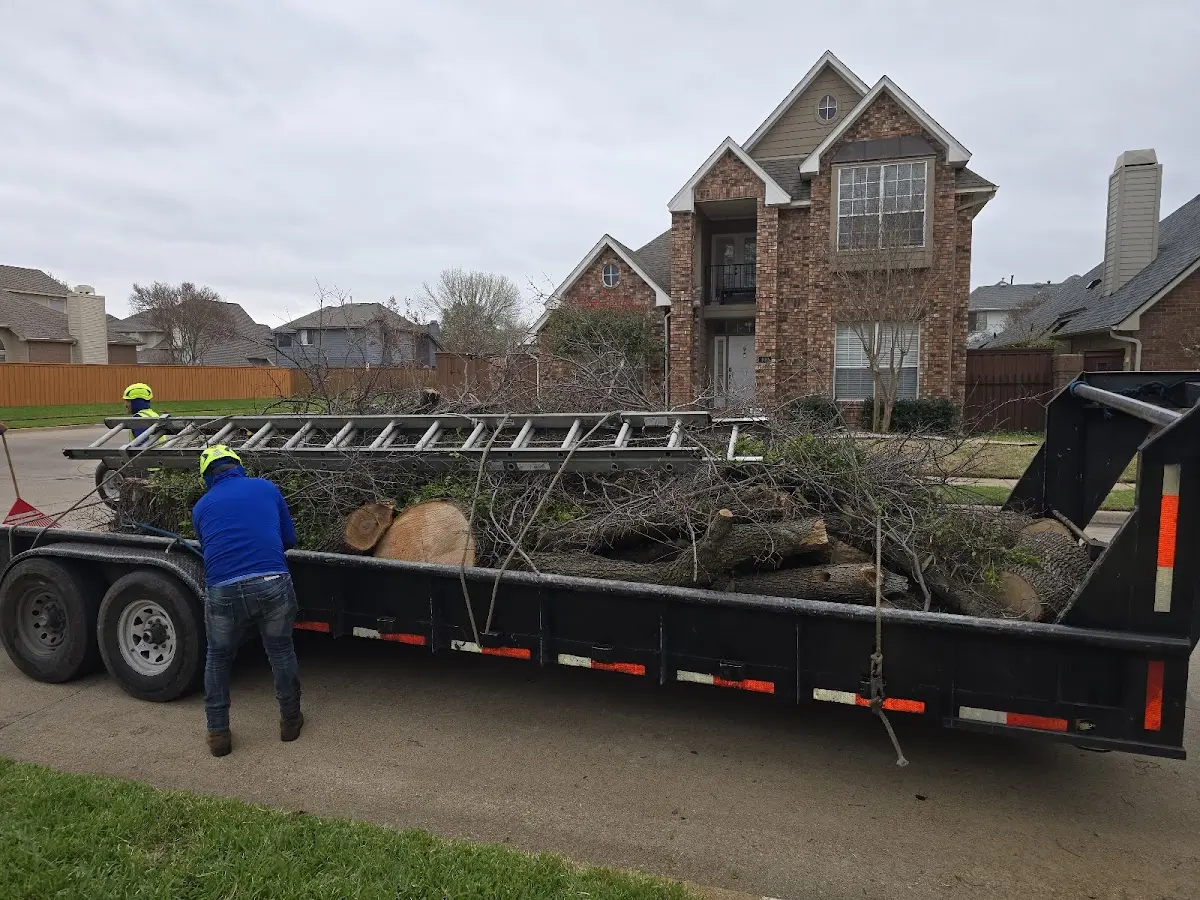 Expert Lot Clearing with proper safety equipment in Penns Park